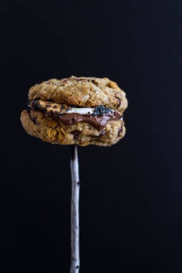 燕麦巧克力芯片+ Graham饼干饼干s'mores。